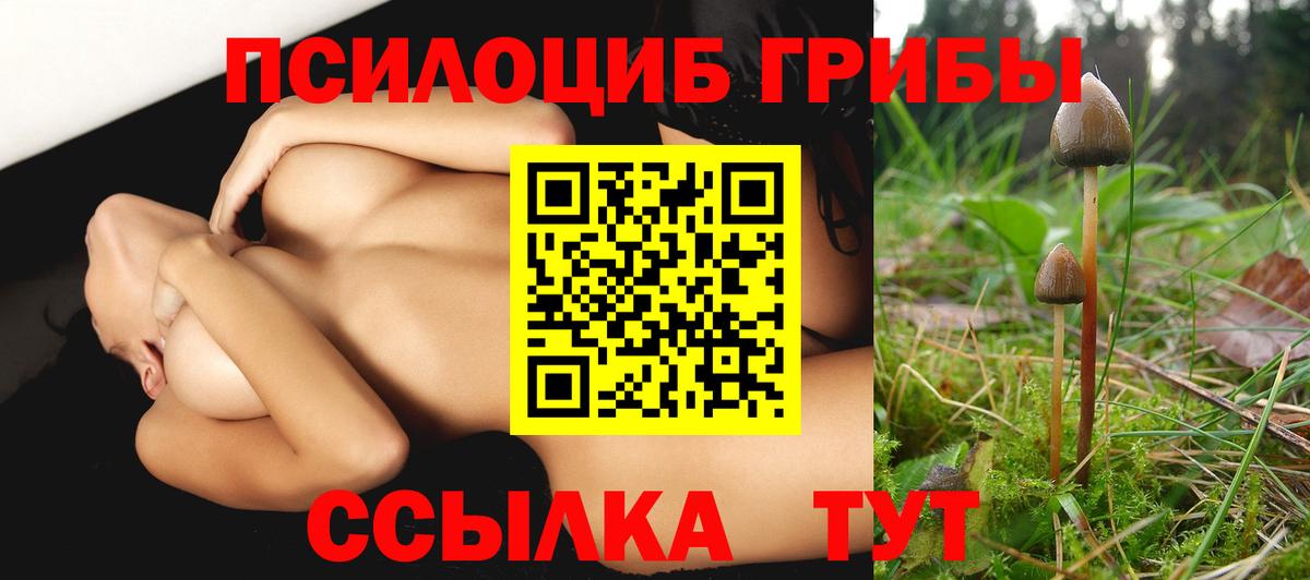 Псилоцибиновые грибы Magic Shrooms  Псилоцибиновые грибы MAGIC MUSHROOMS  Ижевск  сколько стоит  Вход с VPN 